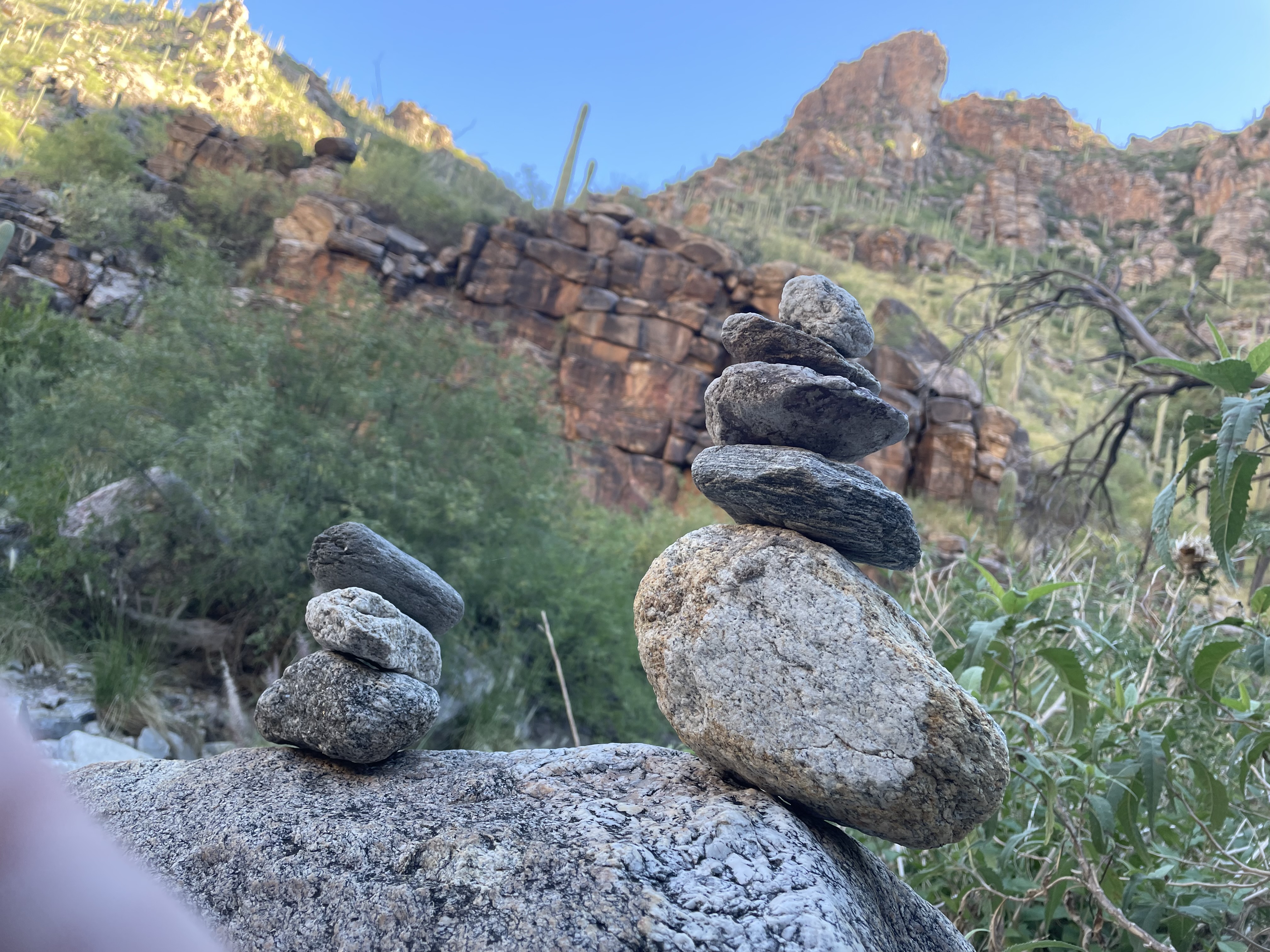 On the Trail
